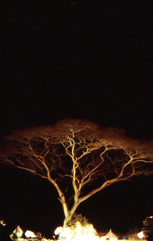 WT 1400 207-32 Kenya.jpg